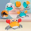 Caranguejo Fujão DUMO